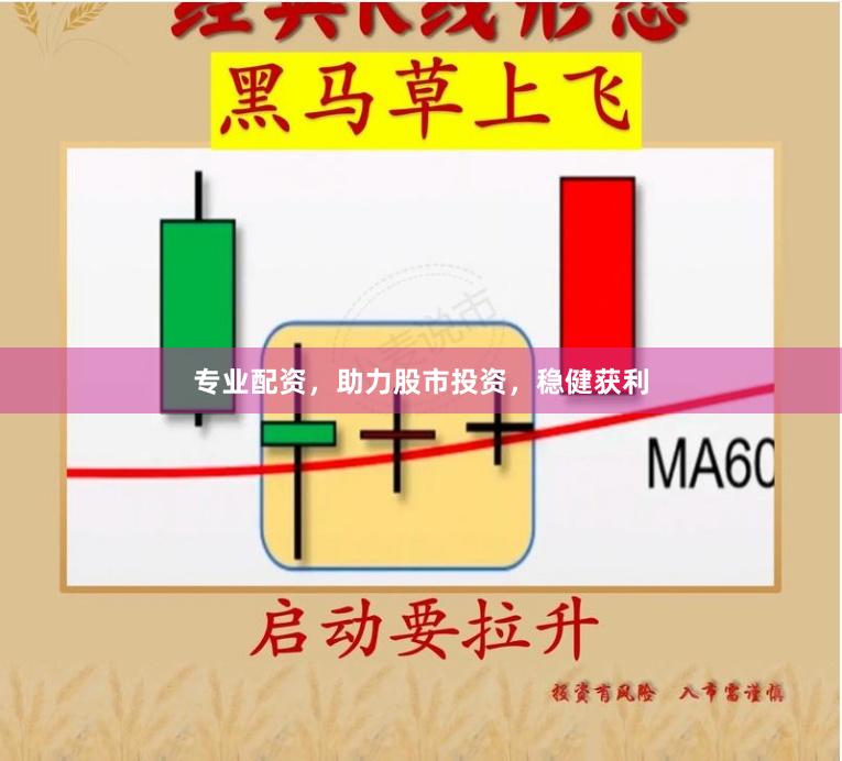 专业配资，助力股市投资，稳健获利