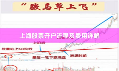 上海股票开户流程及费用详解